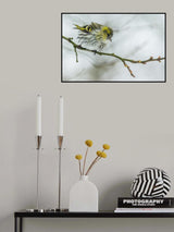 a grey cold winter morning Poster och Canvastavla