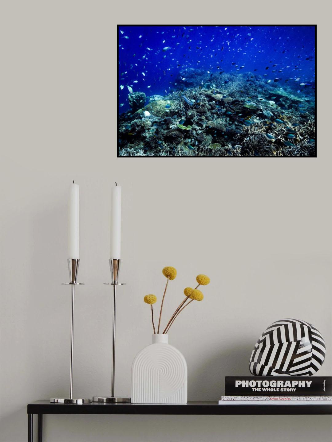 The reef Poster och Canvastavla
