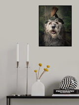 Deep in the wood Poster och Canvastavla
