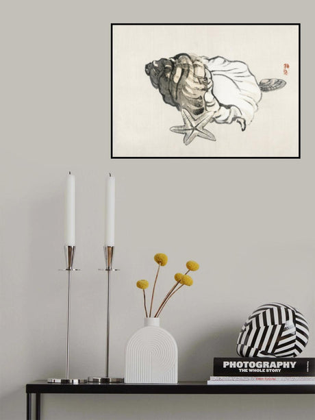 Star Fish and Conch Poster och Canvastavla