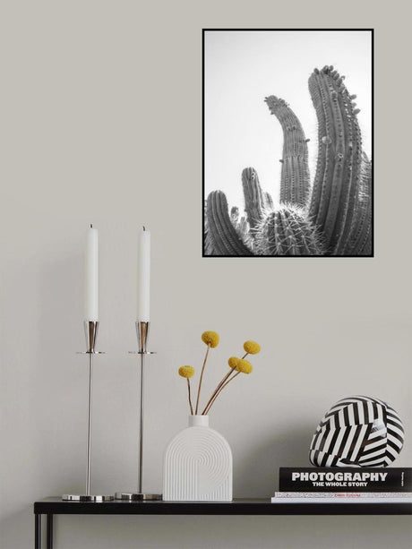 Cactus Poster och Canvastavla