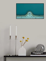 The Sun Voyager Poster och Canvastavla