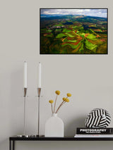Plateau Flower Poster och Canvastavla