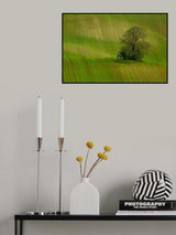 Spring field Poster och Canvastavla