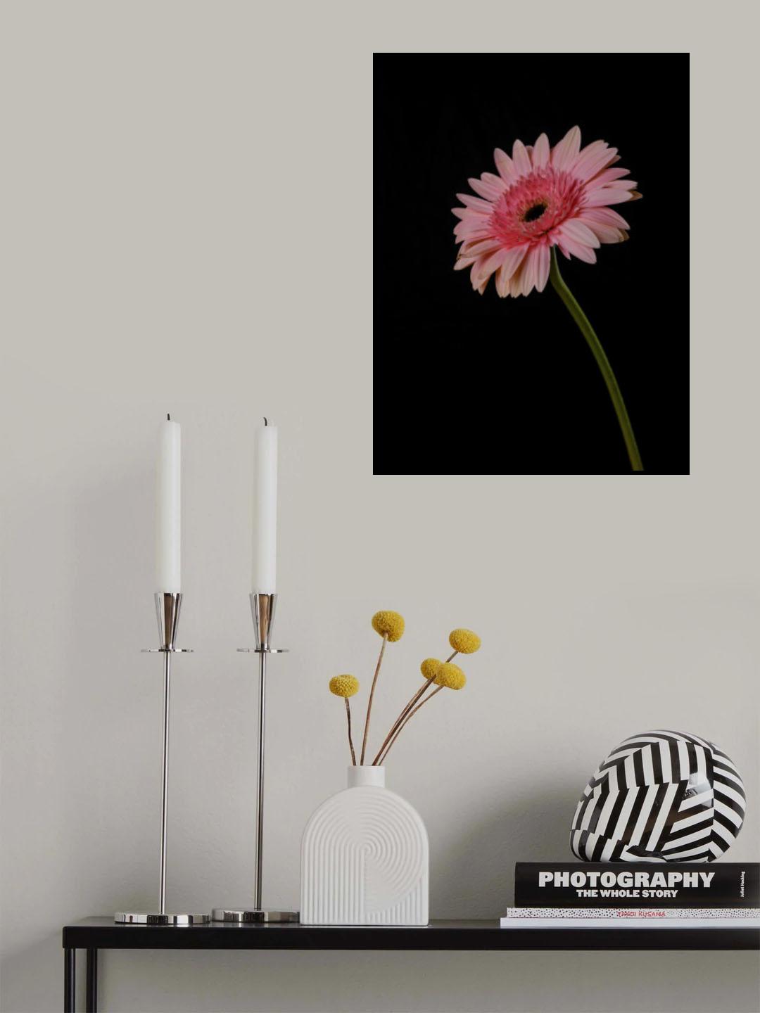 Beautiful flower Poster och Canvastavla