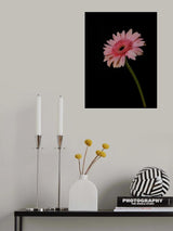 Beautiful flower Poster och Canvastavla