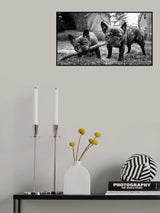 Sharing is caring Poster och Canvastavla