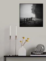 lost path Poster och Canvastavla