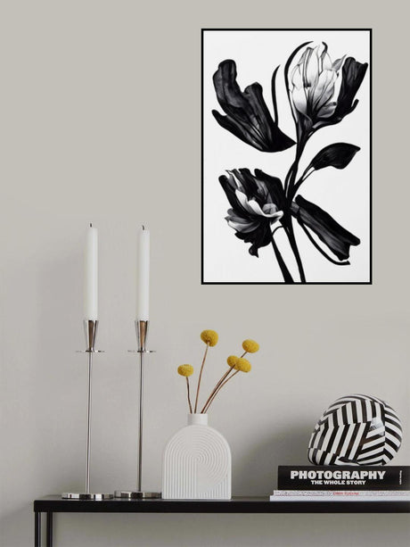 Black Flower Poster och Canvastavla