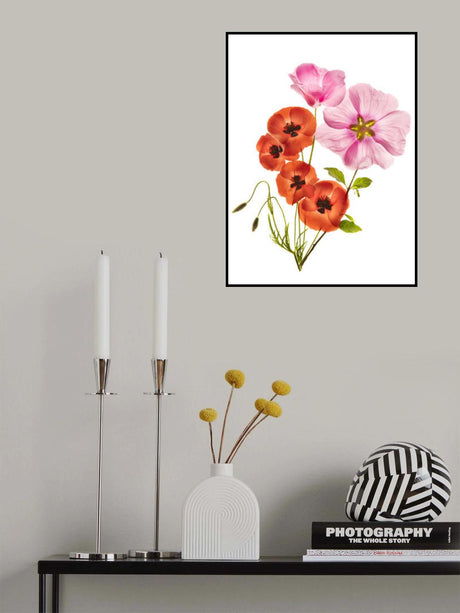 Flower composition III Poster och Canvastavla
