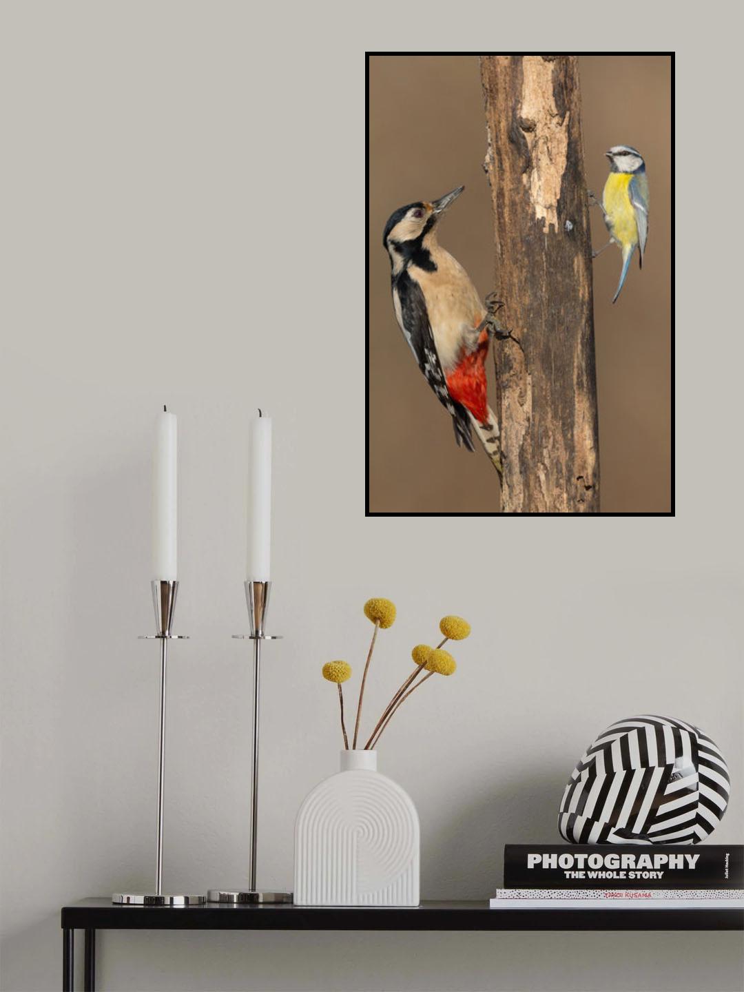 Poster och Canvastavla