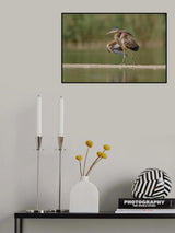 Purple Heron , after a deep bath.. Poster och Canvastavla