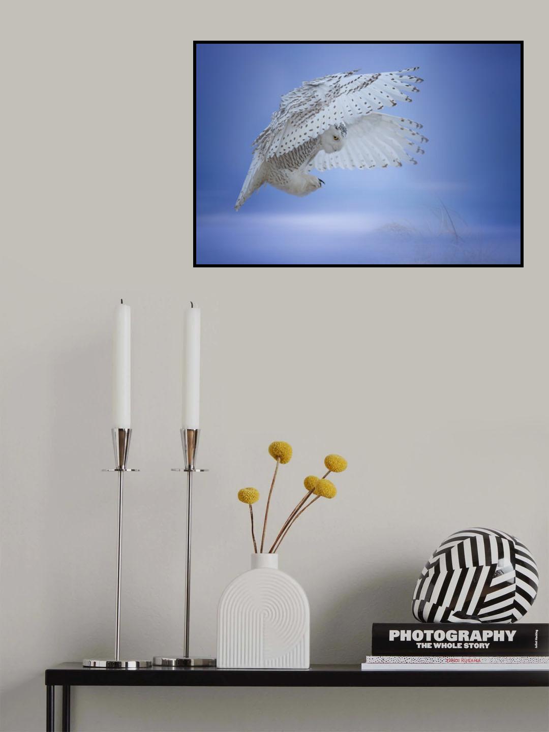 Landing....... Poster och Canvastavla