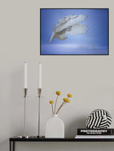 Landing....... Poster och Canvastavla