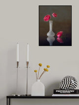 Pink Ranunculus Poster och Canvastavla