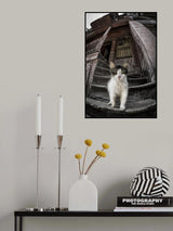 Are you looking Someone? Poster och Canvastavla
