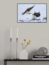 I want the fish too Poster och Canvastavla