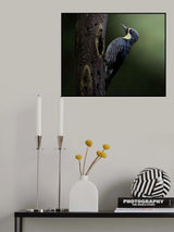 Only for me Poster och Canvastavla