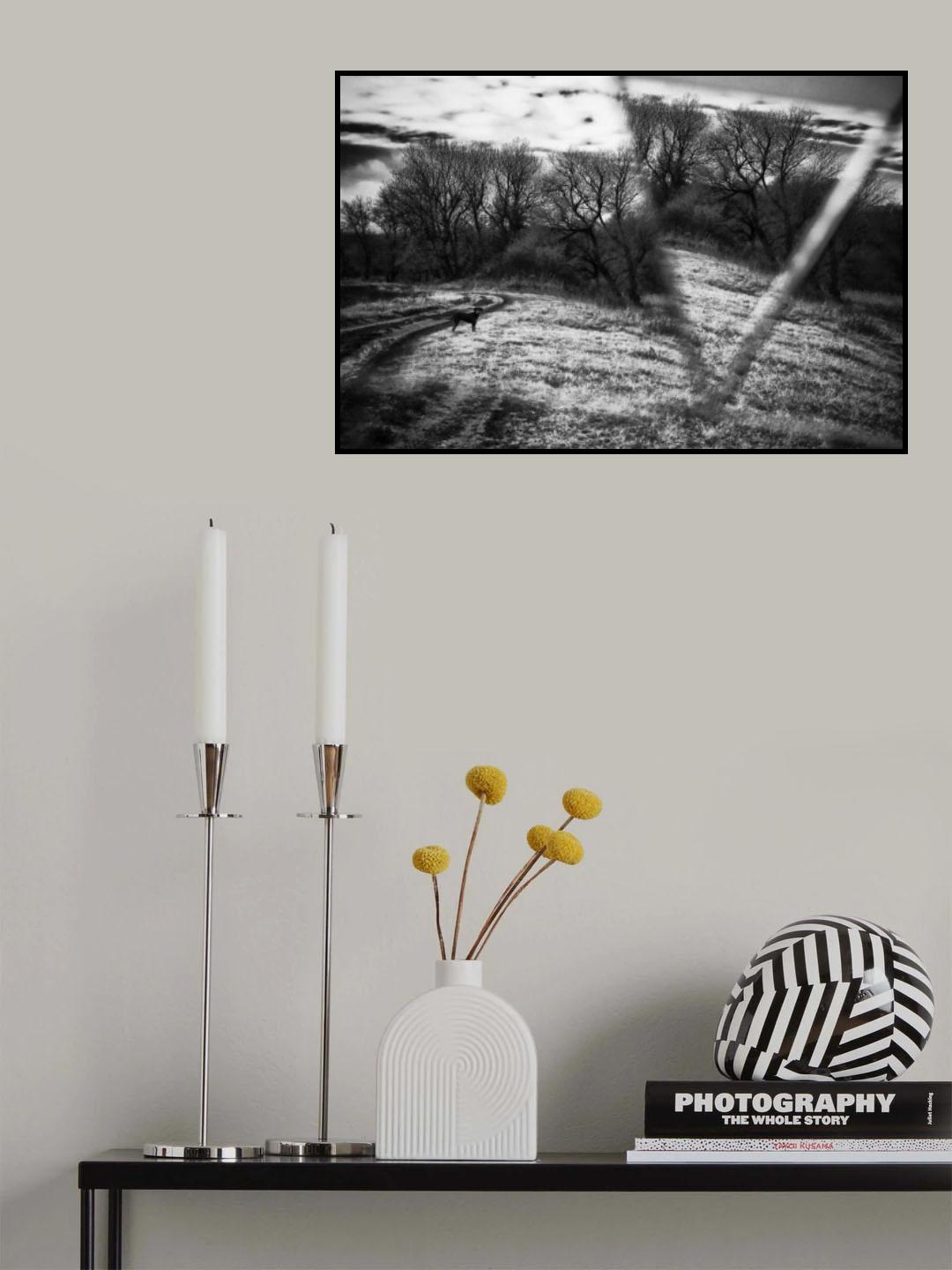 Poster och Canvastavla