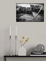 Poster och Canvastavla
