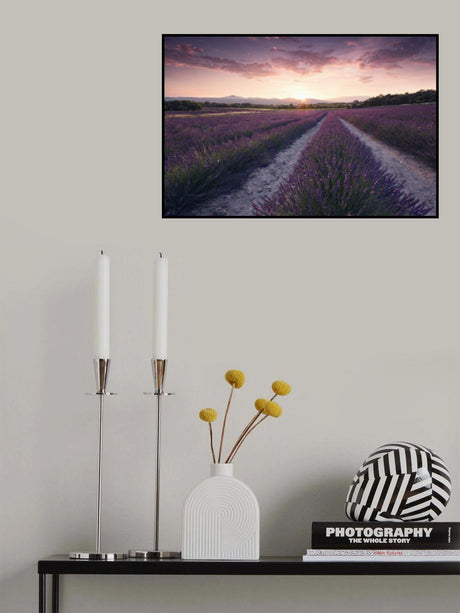 Purple Provence Poster och Canvastavla