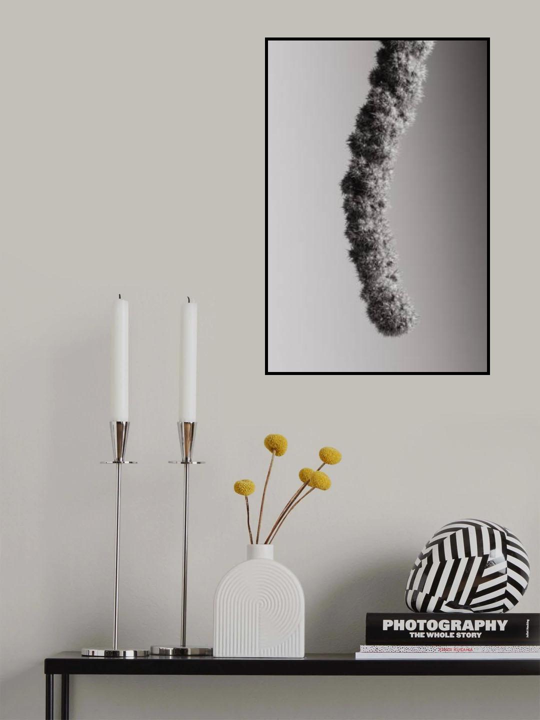 Seed Capsule Black and White Poster och Canvastavla