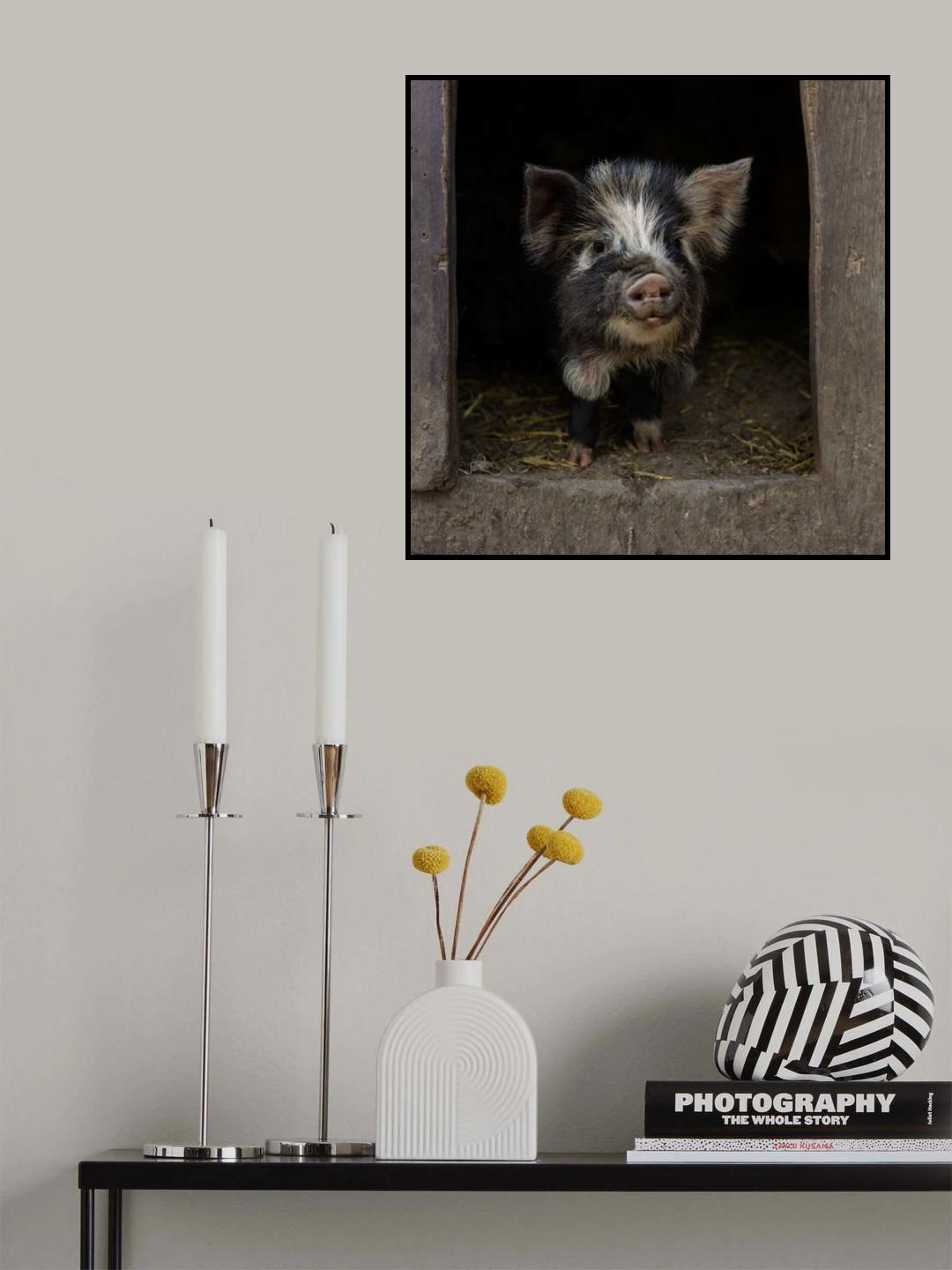 Please, come in! Poster och Canvastavla