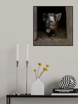 Please, come in! Poster och Canvastavla