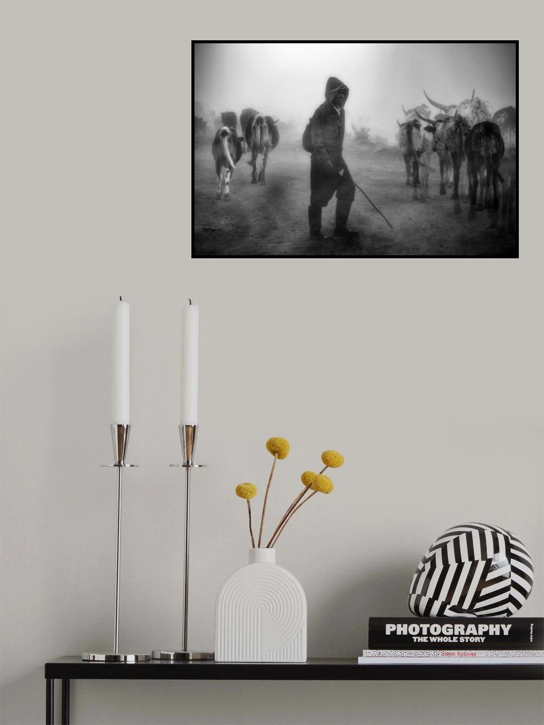 '...cattle herd in the mist...' Poster och Canvastavla