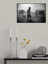 '...cattle herd in the mist...' Poster och Canvastavla