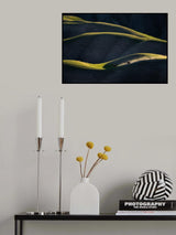 Herdsman's life Poster och Canvastavla