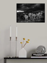 Poster och Canvastavla