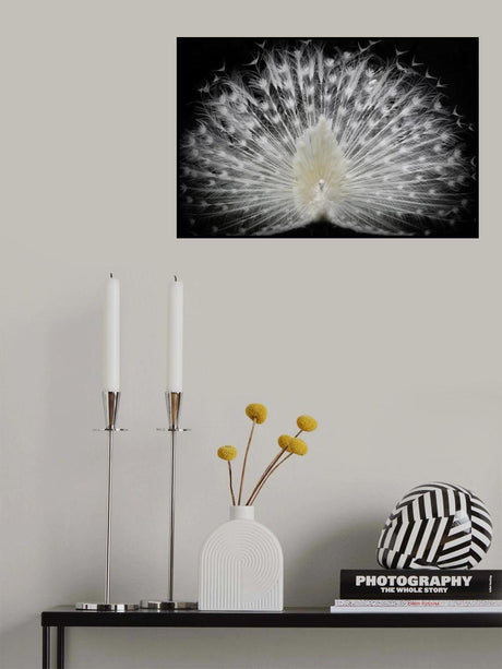 black and white, Poster och Canvastavla