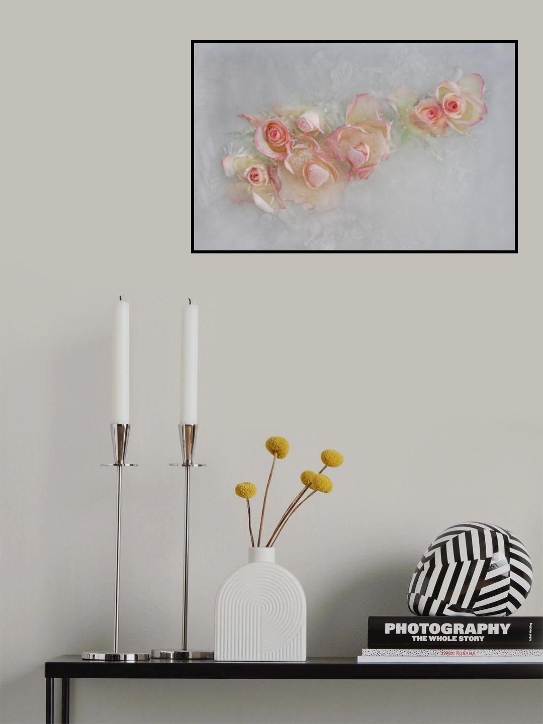Roses. Poster och Canvastavla