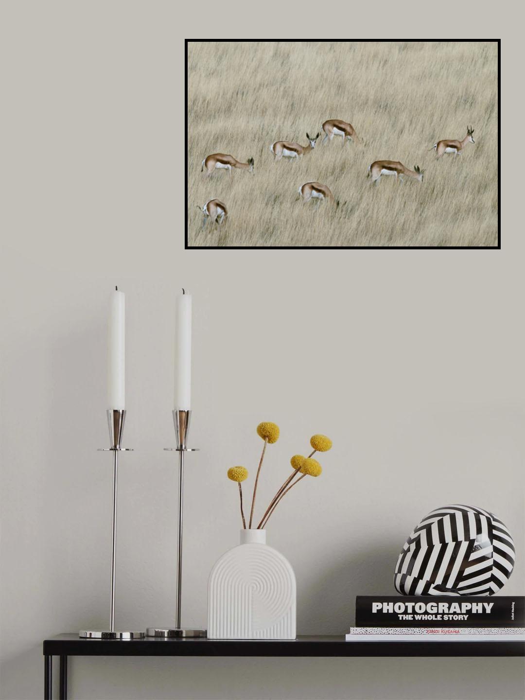 We are spotted Poster och Canvastavla