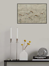 We are spotted Poster och Canvastavla