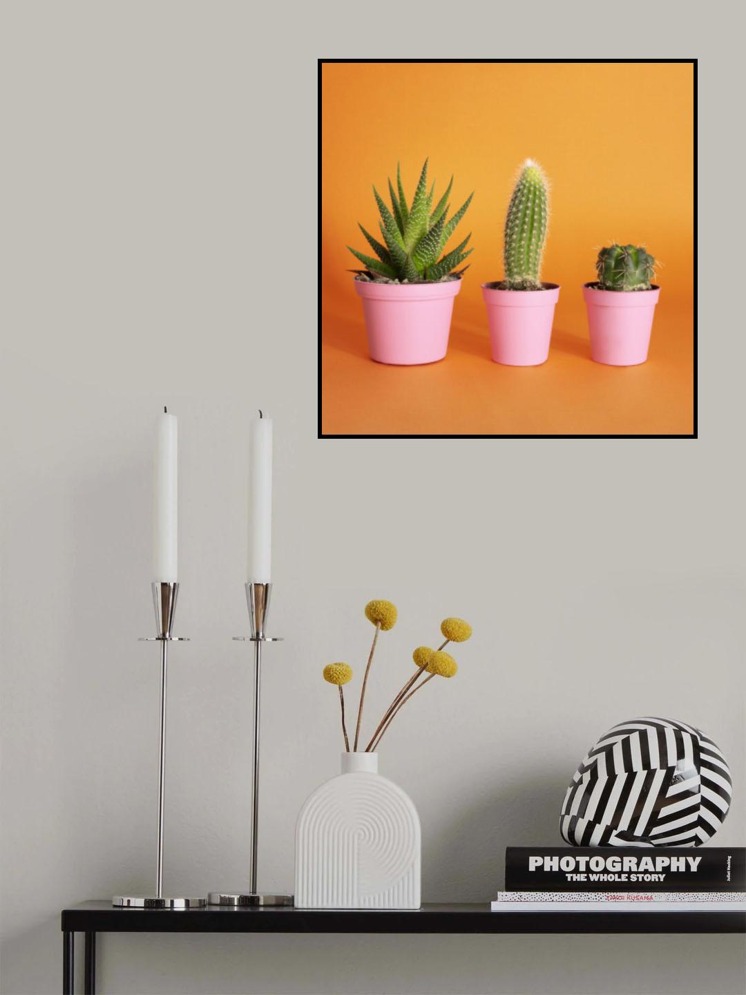 Cactus.2.1 Poster och Canvastavla