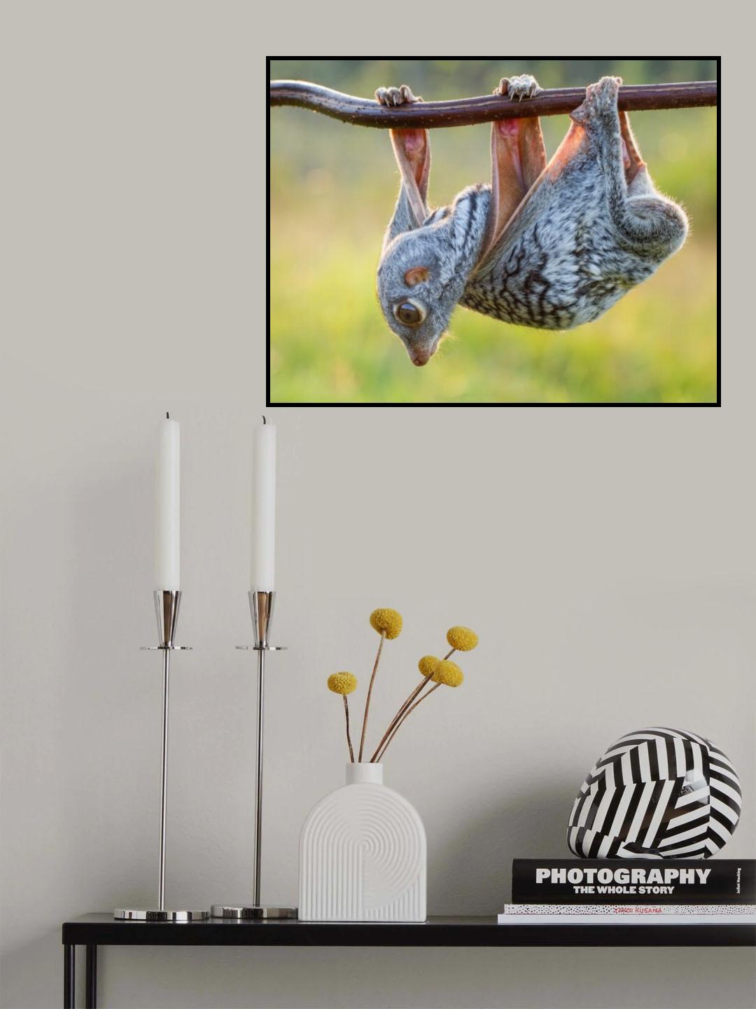 look down Poster och Canvastavla