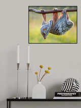 look down Poster och Canvastavla