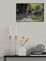 Fishing Poster och Canvastavla