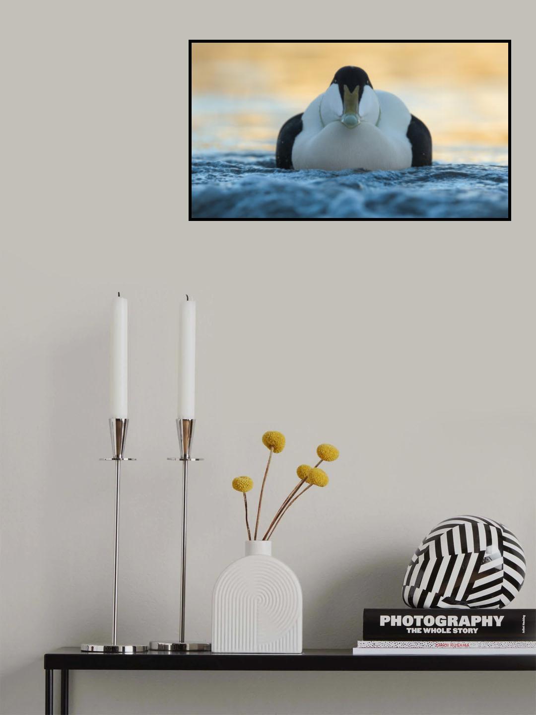 Eye To Eye Poster och Canvastavla