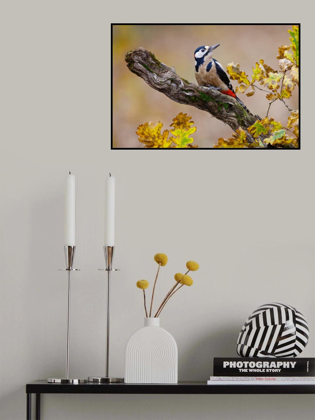 Autumn woodpecker Poster och Canvastavla