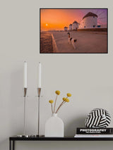Lone cat and windmills Poster och Canvastavla
