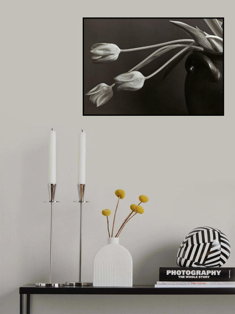 Tulips. Poster och Canvastavla