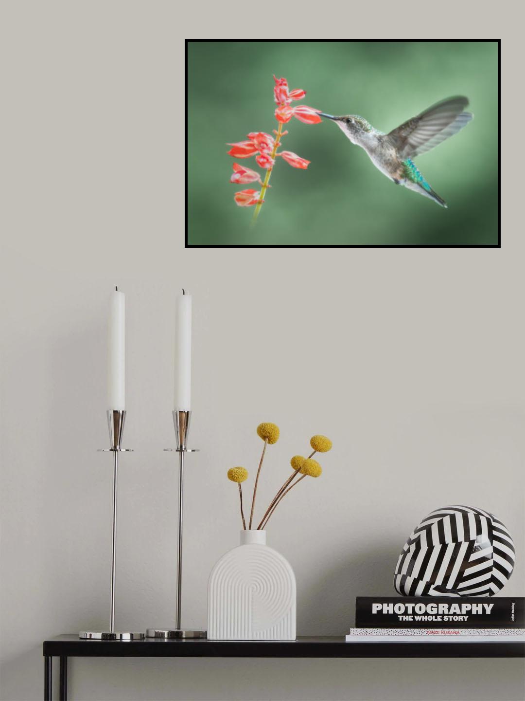 Balancing act Poster och Canvastavla