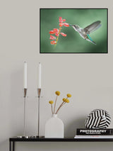 Balancing act Poster och Canvastavla