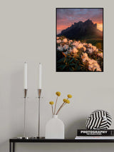 Flowers on the mountainside Poster och Canvastavla