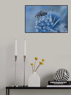 Gather pollen... Poster och Canvastavla