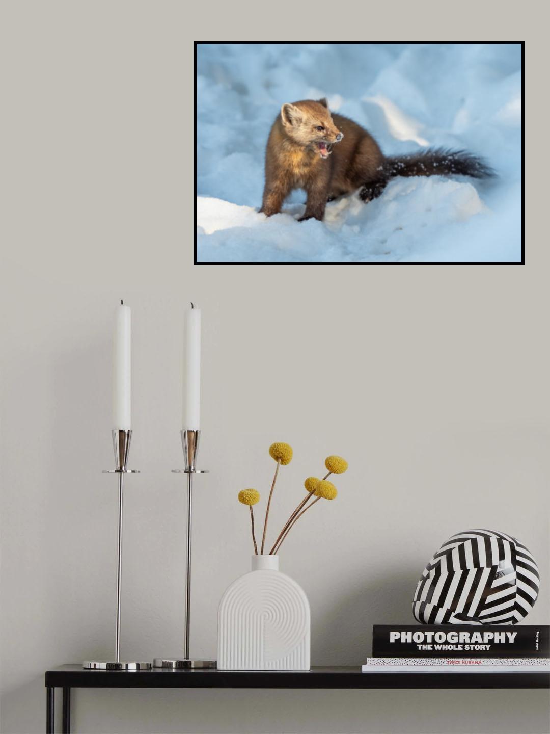 Pine Marten Poster och Canvastavla