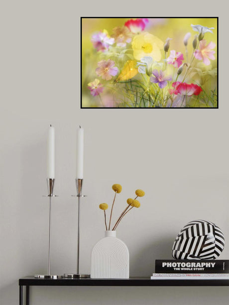 Tiny garden in a summer field Poster och Canvastavla